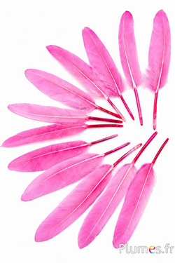 Gans - 10-15 cm - roze